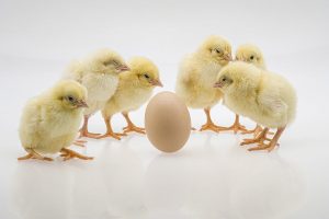 http://ปัญหา%20ไก่กับไข่%20และ%20อดีตกับอนาคต%20อ่านเล่นคั่นเวลา 